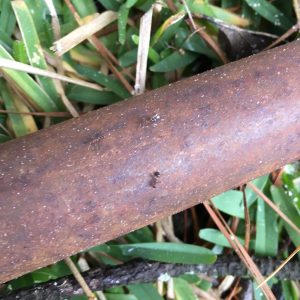 Zoom in of metal part of shovel handle with three small ants that blend into the rusty shovel metal.