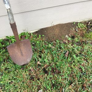Shovel head leaning against siding with an ant pile at base of the wall.