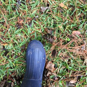 Toe of blue rubber boot on grass