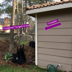 Exterior corner of building with an arrow pointing to tomato seeds.