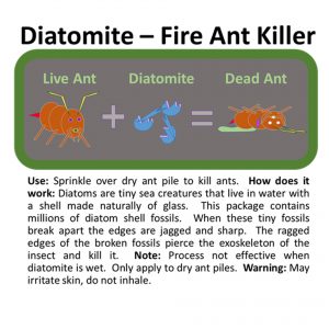 Label of product with written instructions cartoon of ant dying.