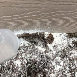 Nozzle of plastic bottle pointed at ant pile that is a mix of brown dirt and white Diatoms