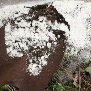 Tip of shovel with white diatoms and brown dirt