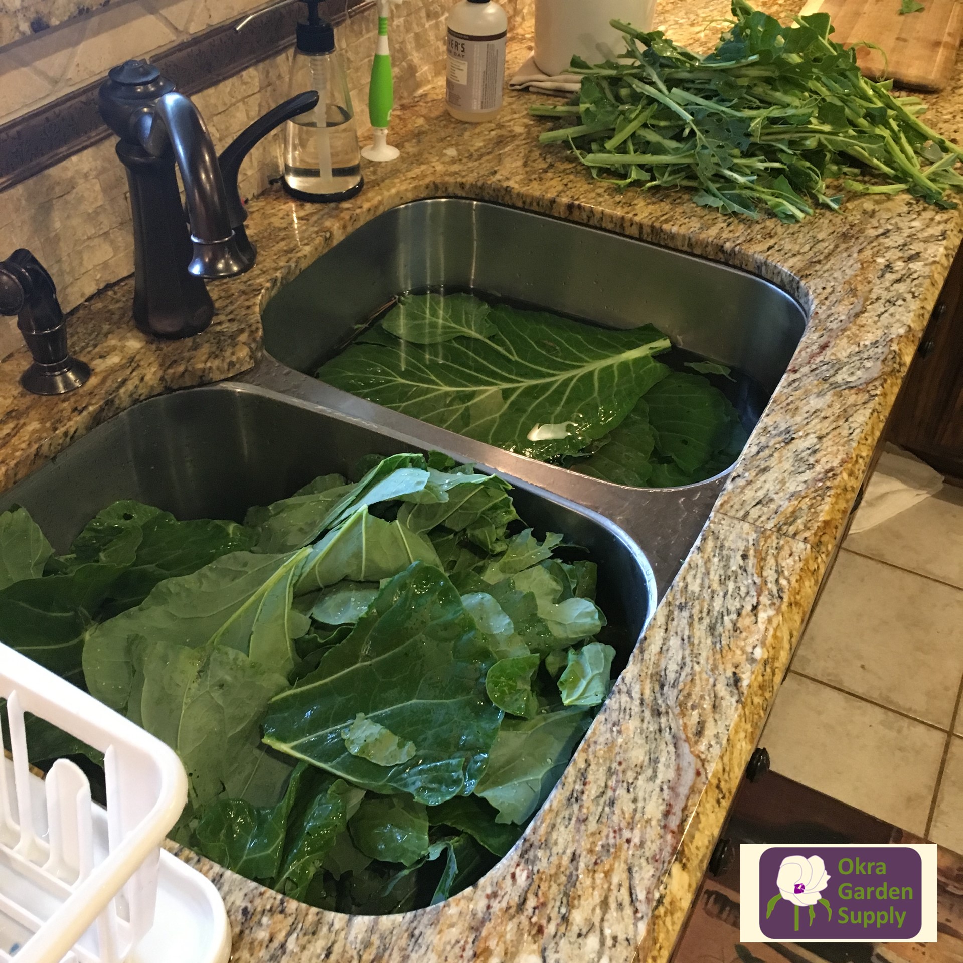 Collard Greens Garden to Freezer Okra Garden Supply