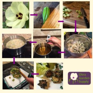 Photo Caption:  Nine panels arranged on a square with arrows showing a series of steps to make fried okra.  The blossom to represent picking okra, then the pod, slicing, tossing with corn meal and salt and pepper, getting oil the proper temperature, (I also just sort of sauté when I don’t feel like getting out that much oil), fry, drain, enjoy.  These Okra grew from plants that germinated outside in pots in January, 2017.  